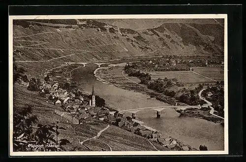 AK Piesport / Mosel, Panorama vom Berg aus gesehen