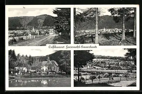 AK Freienohl / Sauerland, Teil- und Gesamtansichten