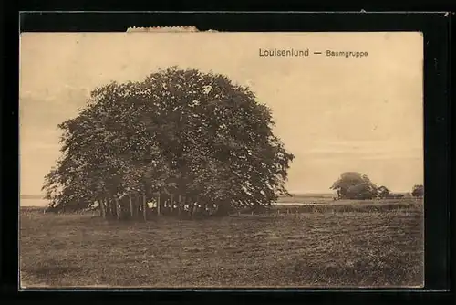 AK Eckernförde, Luisenlund, Baumgruppe
