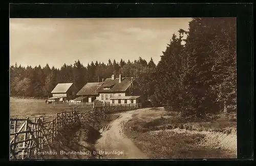 AK Braunlage / Harz, Blick zum Forsthaus Brunnenbach