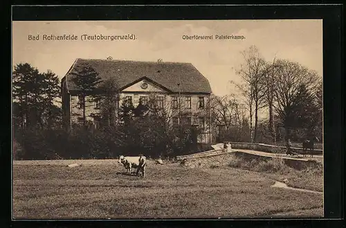 AK Bad Rothenfelde /Teutoburgerwald, Oberförsterei Palsterkamp und Bauer mit Kuh