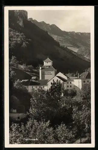 AK Trattenbach, Blick auf die Kunstmühle Johann Wallner