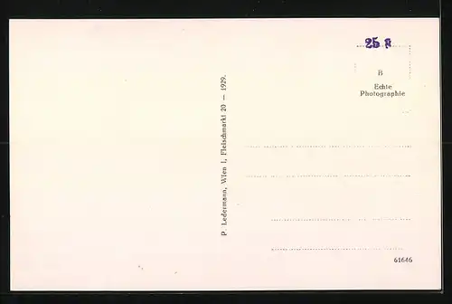 AK Stainach-Irdning, Schloss Trautenfels mit Grimming