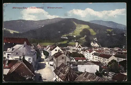 AK Mürzzuschlag, Teilansicht mit Wienerstrasse aus der Vogelschau