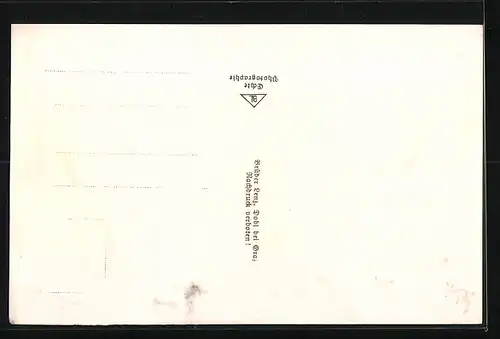 AK Friedberg-Pinggau, Totalansicht