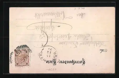 Lithographie Graz, Ortsansicht aus der Vogelschau