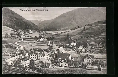 AK Steinhaus am Semmering, Ortsansicht mit Bergen