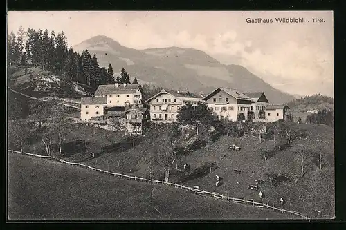 AK Waldbichl, Gasthaus Waldbichl mit Nebengebäuden