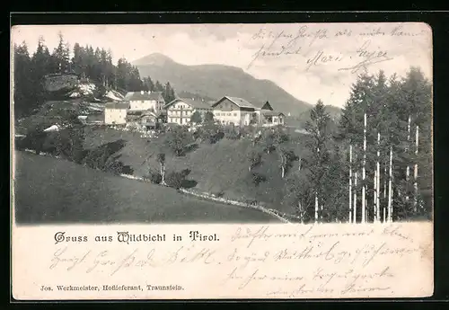 AK Wildbichl, Ortspartie mit Bergen