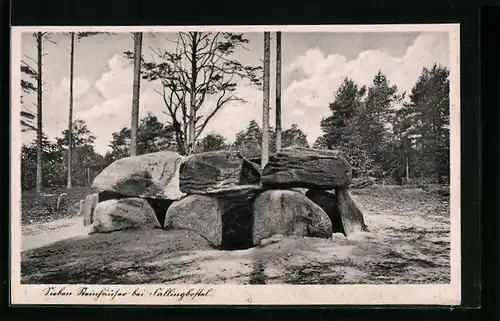 AK Fallingbostel, Sieben Steinhäuser, Hünengräber