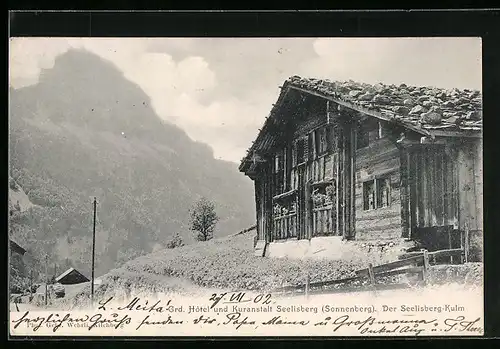 AK Seelisberg-Kulm /Sonnenberg, Grd. Hotel und Kuranstalt Seelisberg