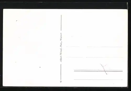 AK Lichtensteig /Toggenbg., Ortsansicht aus der Vogelschau
