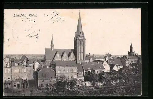 AK Bitterfeld, Totale mit Kirche