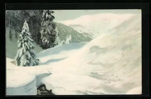 Künstler-AK Friedrich Iwan: schneebedecktes Brunnberg-Gebiet
