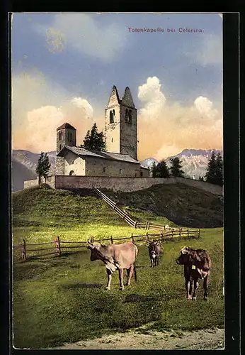 AK Celerina, Blick auf die Totenkapelle, weidende Rinder