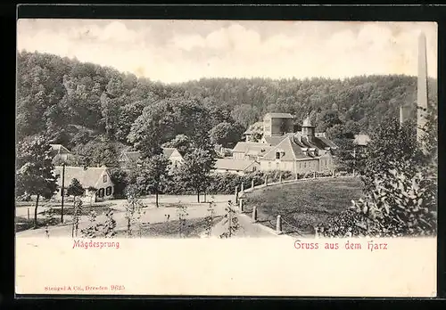 AK Mägdesprung /Harz, Ortspartie