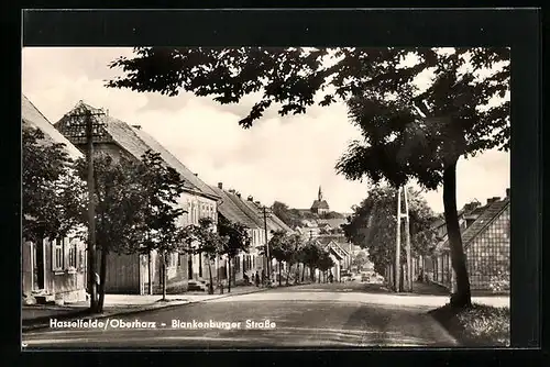 AK Hasselfelde /Oberharz, Blankenburger Strasse mit Anwohnern