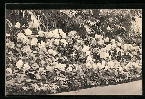 AK Gand, Universelle & Internationale de l'Exposition 1913, Floralies Gantoises