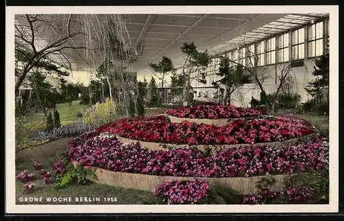 AK Berlin, Grüne Woche 1955, Blumenhalle