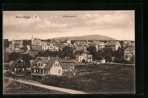 AK Braunlage / Harz, Villenviertel