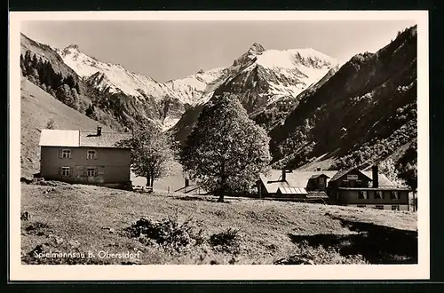 AK Spielmannsau, Ortspartie mit Gebirgspanorama