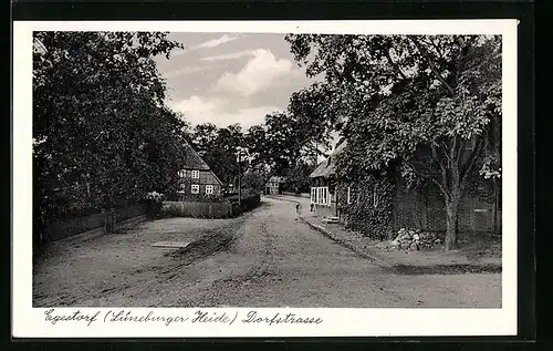 AK Egestorf / Lüneburger Heide, Dorfstrasse