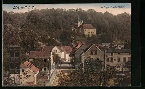 AK Liebstadt / Sa., Schloss Kuckuckstein