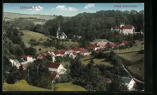 AK Liebstadt / Sa., Ortspartie mit Schloss Kuckuckstein