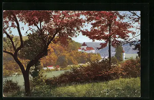 AK Liebstadt / Sa., Blick zum Schloss Kuckuckstein