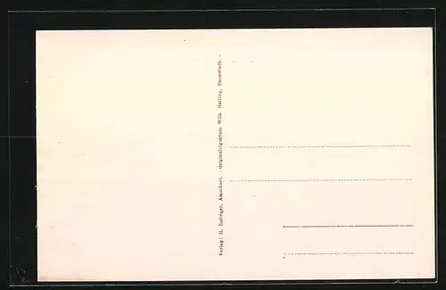 AK Amorbach, Fürstl. Leining. Palais