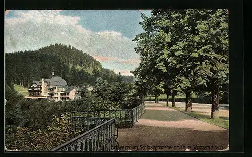 AK Schwarzburg / Thür., Schlosspromenade mit Hotel Weisser Hirsch