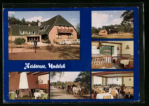 AK Undeloh, Gasthaus und Pension Heiderose