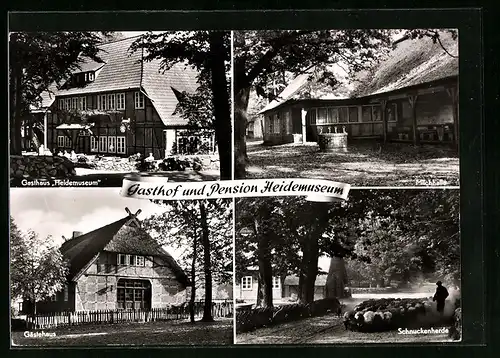 AK Wilsede, Gasthaus und Pension Heidemuseum mit Gästehaus, Milchhalle und Schnuckenherde