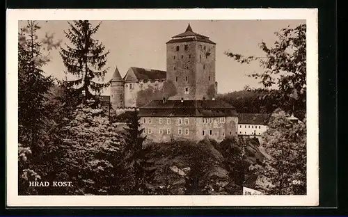 AK Podkost, Hrad Kost