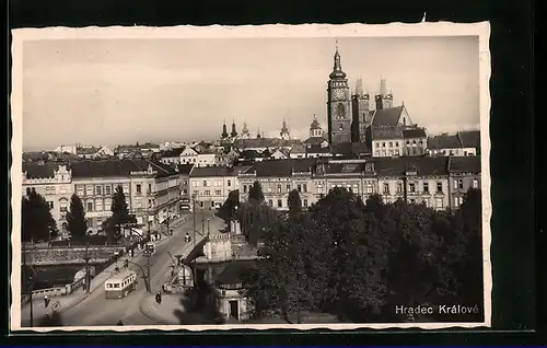 AK Hradec Králové, Celkový pohled