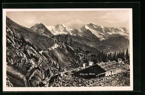 AK Schynige Platte, Blick auf Eiger, Mönch und Jungfrau mit Bergbahn