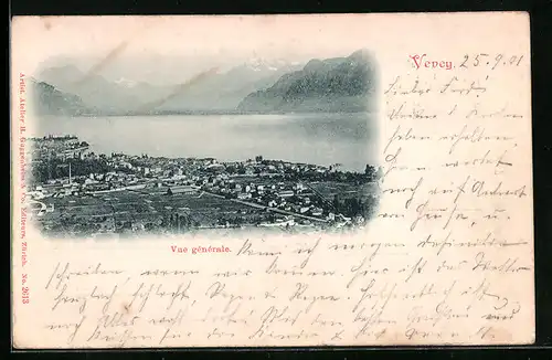 AK Vevey, Vue gènèrale