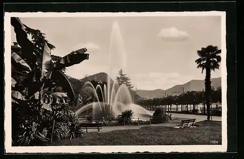 AK Lugano, glardini pubblici