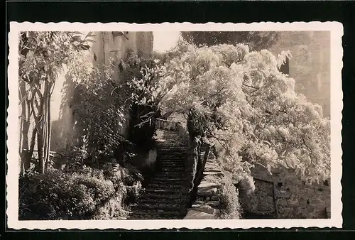 AK Gandria, Ortspartie am Luganer See