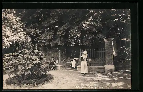 AK Wildbad Adelholzen, Primusquelle