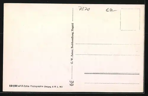 AK Nagold, Totalansicht vom Flugzeug aus