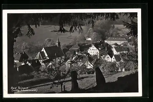 AK Bad Teinach (wttbg. Schwarzwald), Ortsansicht von einem Berg aus