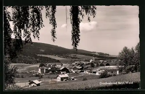 AK Drachselsried /Bayr. Wald, Ortsansicht von einem Berg aus