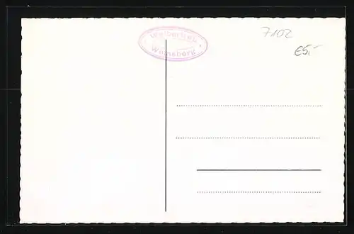 AK Weinsberg, Totalansicht mit Weibertreu