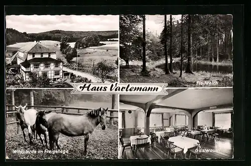 AK Hardehausen b. Scherfede, Haus Varlemann-Fischteich, Gästeraum, Wildpferde im Freigehege