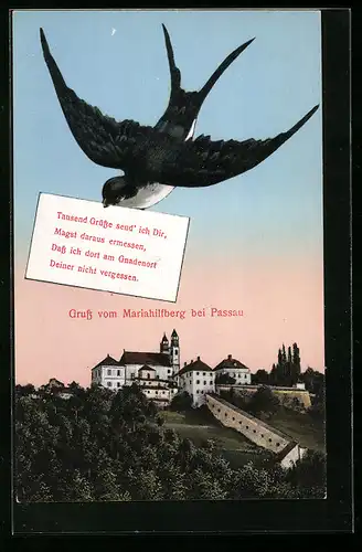 AK Passau, Schwalbe mit Brief über den Mariahilfberg