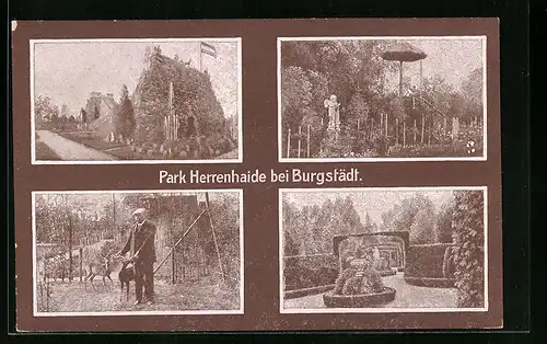 AK Burgstädt, Park Herrenhaide