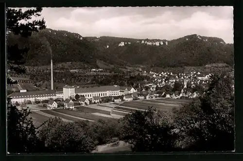 AK Oberlenningen / Württ., Totalansicht