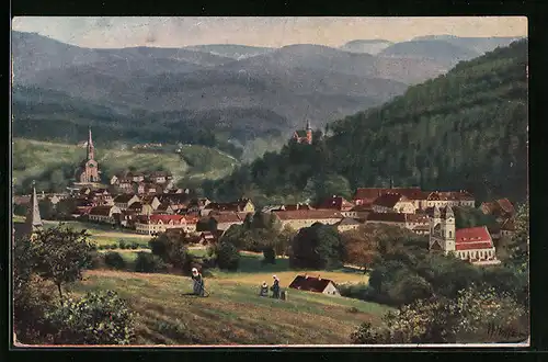 AK Lichtental bei Baden-Baden, Gesamtansicht