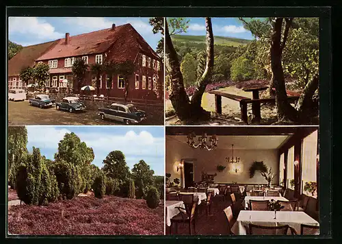 AK Egestorf, Hotel und Gasthof Zu den 8 Linden, Heidelandschaft